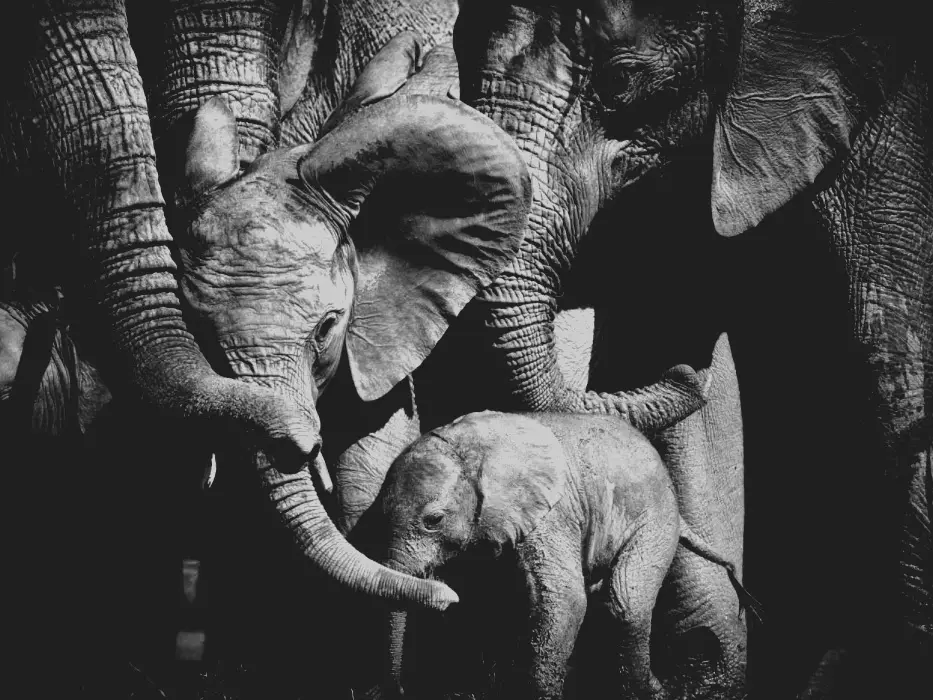 our-business-1-933x700